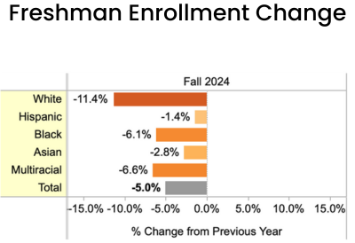 Chart showing freshman enrollment declining across all ethnic backgrounds with white enrollment significant at 11%